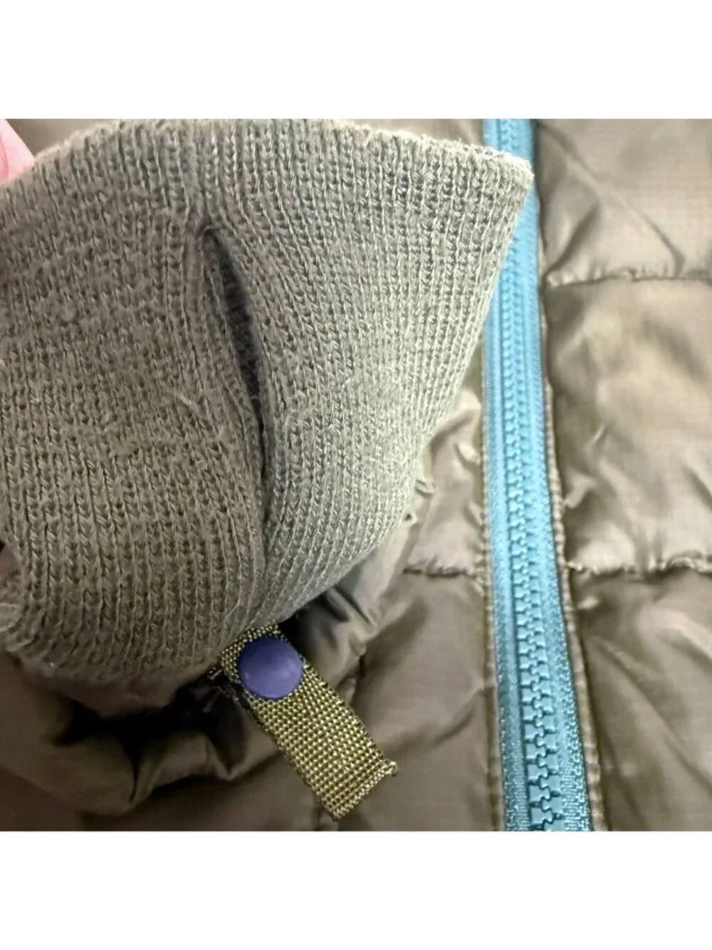 J. Crew crew toddler